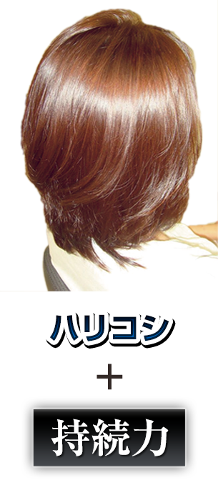 ハリコシ+持続力